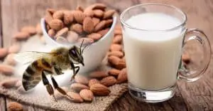 Is almond milk vegan or does it kill bees