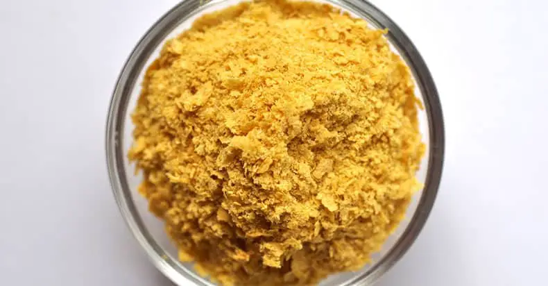 Is Nutritional Yeast Cruelty-Free?